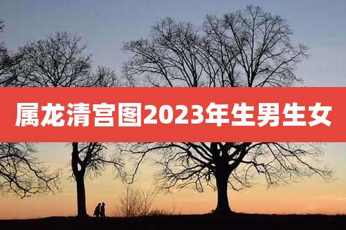 属龙清宫图2023年生男生女