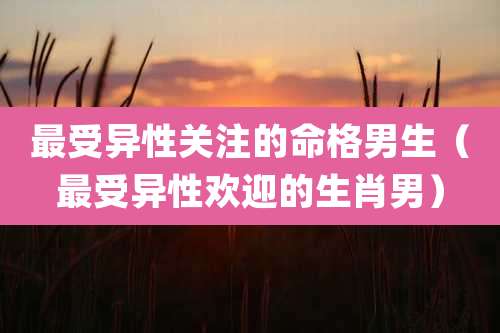 最受异性关注的命格男生（最受异性欢迎的生肖男）
