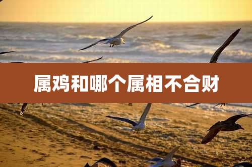 属鸡和哪个属相不合财