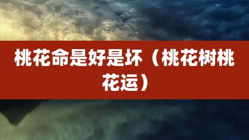 桃花命是好是坏（桃花树桃花运）