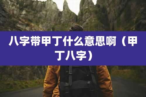 八字带甲丁什么意思啊（甲丁八字）