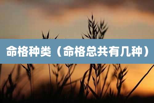 命格种类（命格总共有几种）