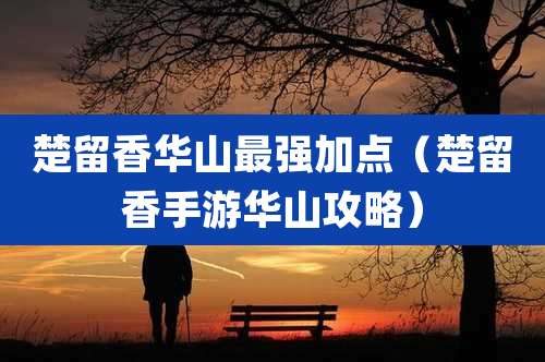 楚留香华山最强加点（楚留香手游华山攻略）