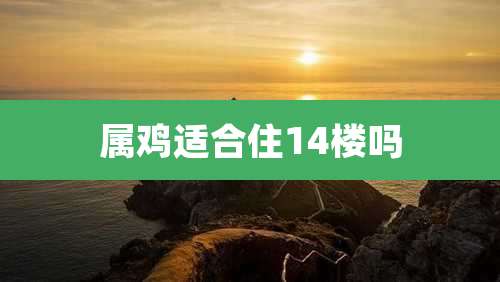 属鸡适合住14楼吗