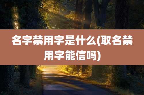 名字禁用字是什么(取名禁用字能信吗)