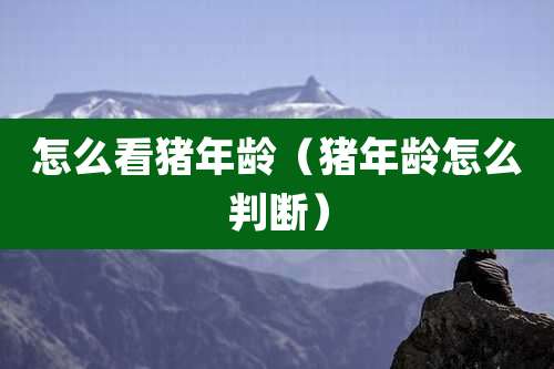 怎么看猪年龄（猪年龄怎么判断）