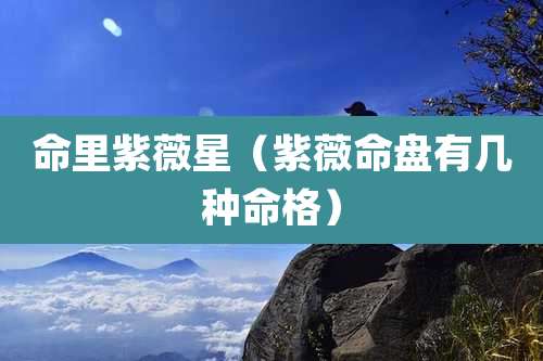 命里紫薇星(紫薇命盘有几种命格)