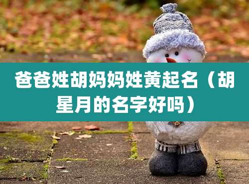 爸爸姓胡妈妈姓黄起名（胡星月的名字好吗）