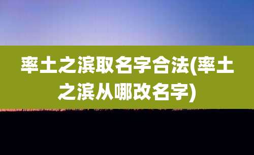 率土之滨取名字合法(率土之滨从哪改名字)