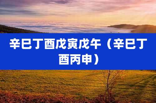 辛巳丁酉戊寅戊午(辛巳丁酉丙申)