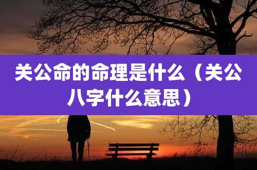 关公命的命理是什么（关公八字什么意思）
