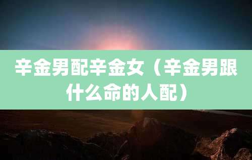 辛金男配辛金女（辛金男跟什么命的人配）