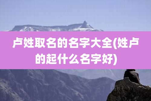 卢姓取名的名字大全(姓卢的起什么名字好)