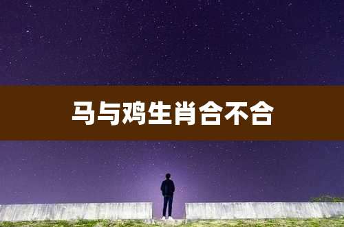 马与鸡生肖合不合