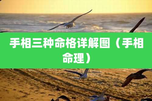 手相三种命格详解图（手相命理）