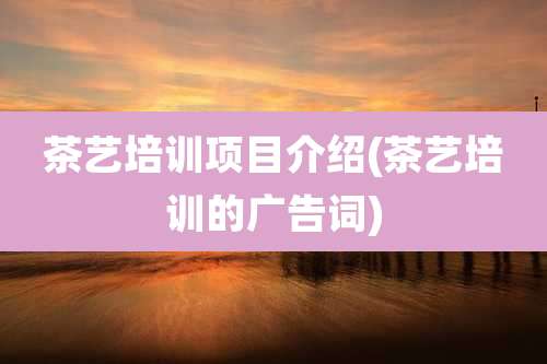 茶艺培训项目介绍(茶艺培训的广告词)