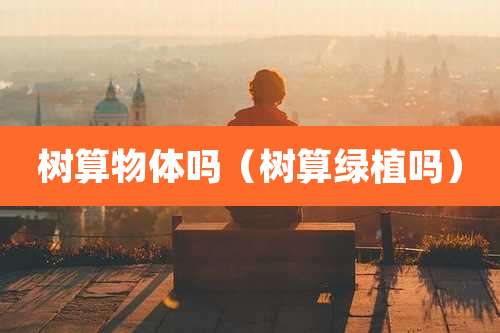 树算物体吗（树算绿植吗）