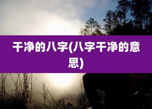 干净的八字(八字干净的意思)