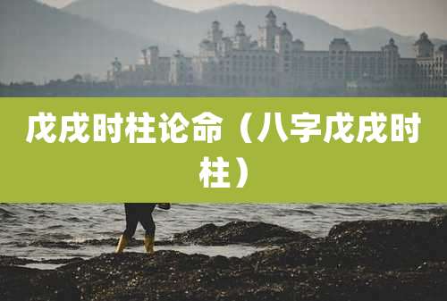 戊戌时柱论命（八字戊戌时柱）