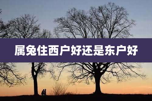 属兔住西户好还是东户好