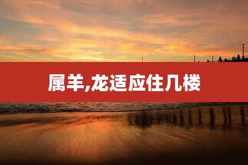 属羊,龙适应住几楼