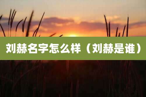 刘赫名字怎么样（刘赫是谁）