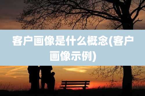 客户画像是什么概念(客户画像示例)