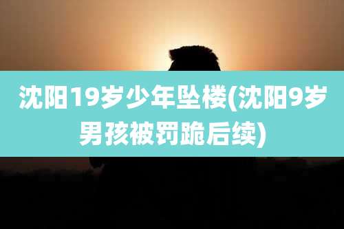 沈阳19岁少年坠楼(沈阳9岁男孩被罚跪后续)