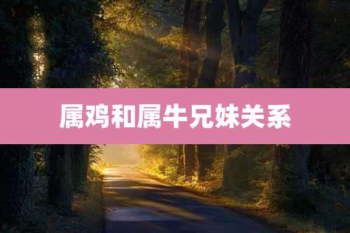 属鸡和属牛兄妹关系