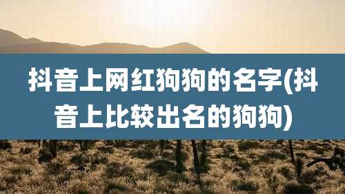 抖音上网红狗狗的名字(抖音上比较出名的狗狗)