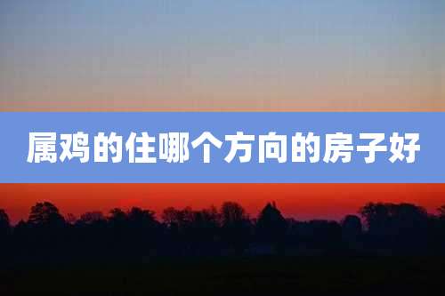 属鸡的住哪个方向的房子好
