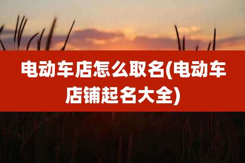 电动车店怎么取名(电动车店铺起名大全)