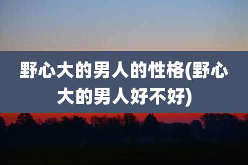 野心大的男人的性格(野心大的男人好不好)
