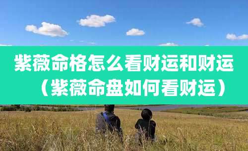紫薇命格怎么看财运和财运（紫薇命盘如何看财运）