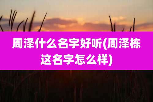 周泽什么名字好听(周泽栋这名字怎么样)