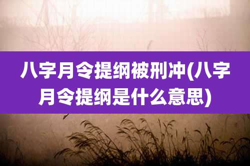 八字月令提纲被刑冲(八字月令提纲是什么意思)