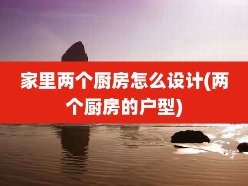 家里两个厨房怎么设计(两个厨房的户型)