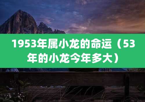 1953年属小龙的命运（53年的小龙今年多大）