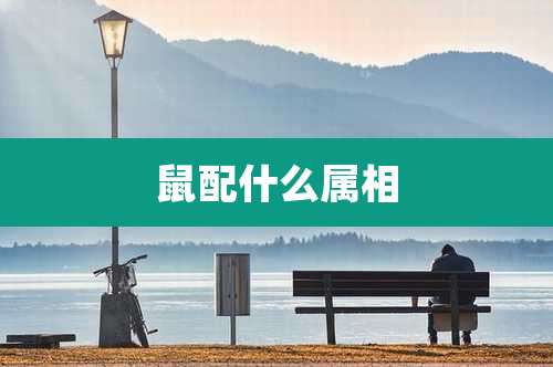 鼠配什么属相