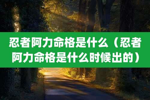 忍者阿力命格是什么（忍者阿力命格是什么时候出的）