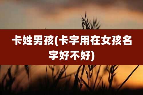 卡姓男孩(卡字用在女孩名字好不好)