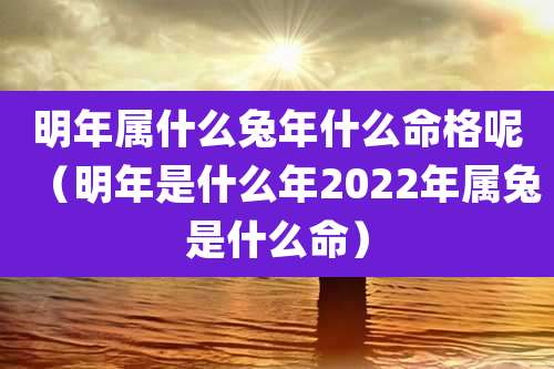 明年属什么兔年什么命格呢（明年是什么年2022年属兔是什么命）