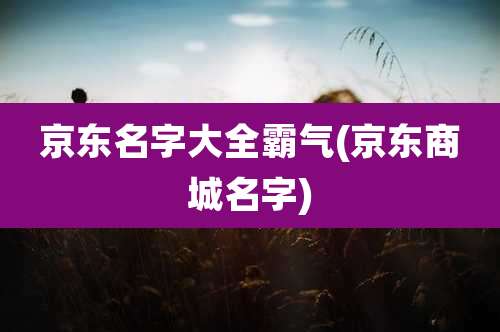 京东名字大全霸气(京东商城名字)