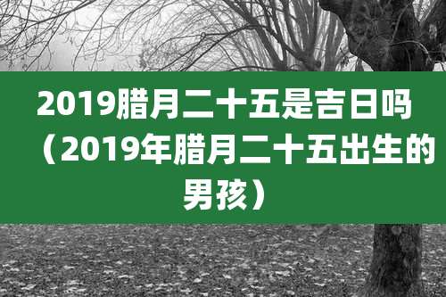 2019腊月二十五是吉日吗（2019年腊月二十五出生的男孩）