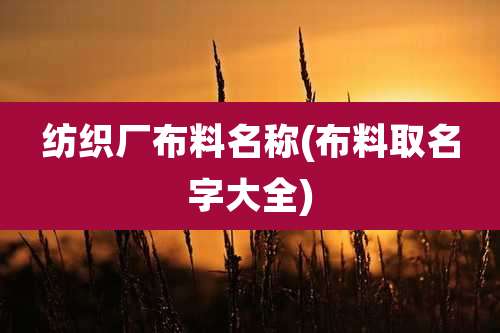 纺织厂布料名称(布料取名字大全)
