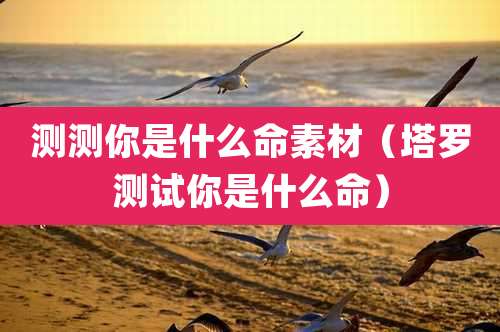 测测你是什么命素材（塔罗测试你是什么命）