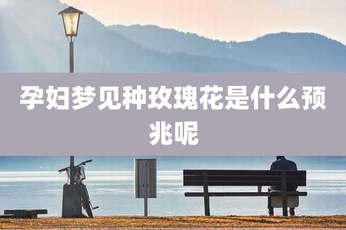 孕妇梦见种玫瑰花是什么预兆呢