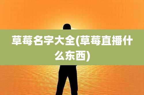 草莓名字大全(草莓直播什么东西)