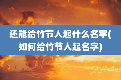 还能给竹节人起什么名字(如何给竹节人起名字)