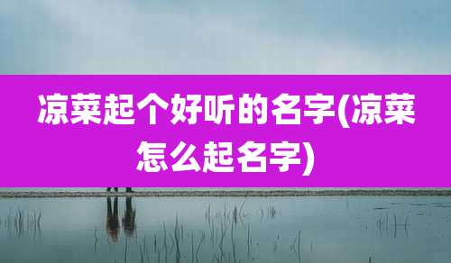 凉菜起个好听的名字(凉菜怎么起名字)